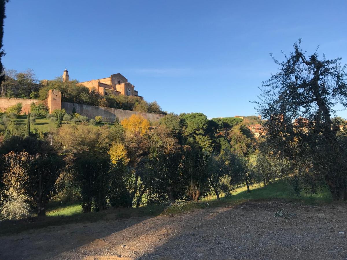 La Perla Tra Gli Ulivi Apartment Siena Exterior photo